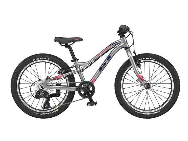 GT Stomper 20" Prime SLV 2021