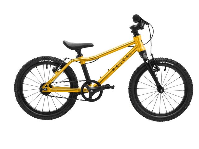 RASCAL 16 Gold