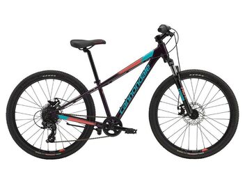 Cannondale Trail 24