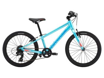 Cannondale Quick 20