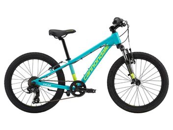 Cannondale Trail 20