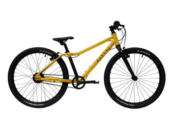 RASCAL 24 Gold 7sp Nexus