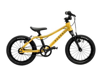 RASCAL 14 Gold