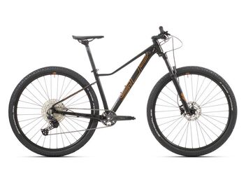 Superior XC 899 W Gloss Gold Black/Copper 2023