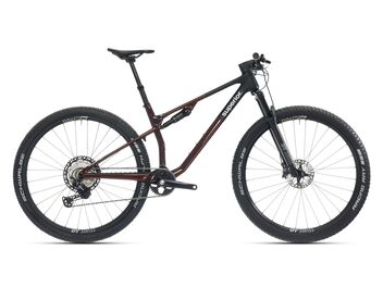 Superior XF 9.5 Team / Gloss Red Carbon / Black 2024