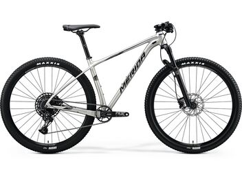Merida BIG.NINE NX-EDITION Silk Titan(Silver) 2020