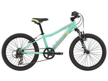 Cannondale Trail 20