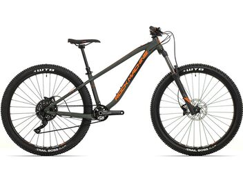 Rock Machine Blizz TRL 40-29 Gloss Light Grey/DVO Green/Black 2022